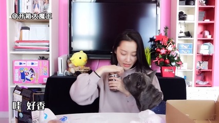 開箱大魔王的寵物全運會 萌寵競技新風潮